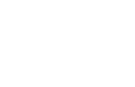 Giant Bicycles Logo