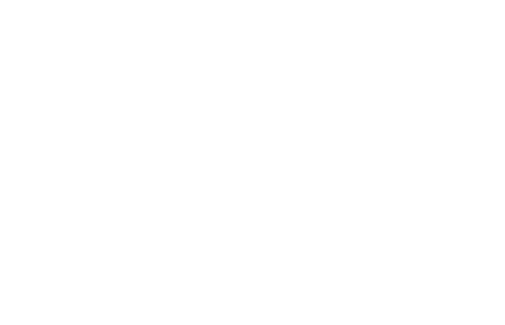 Phlur Logo