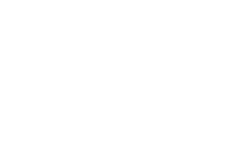 Saltair Logo
