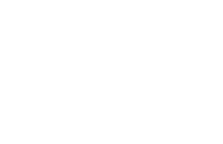 W Labs Logo