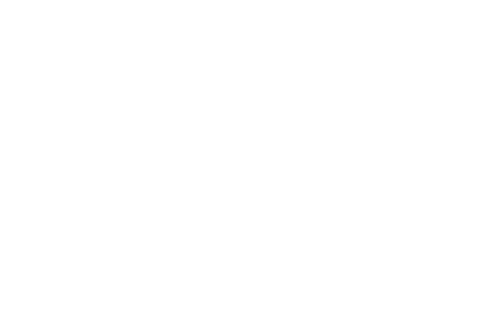 eNewton Logo